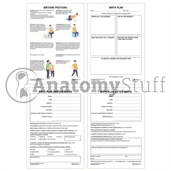 Antenatal Support Pack (Printable PDFs)