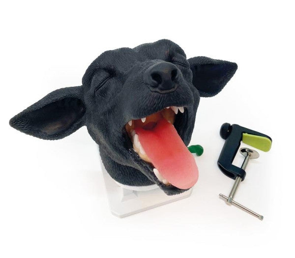 Canine Intubation Head Simulator