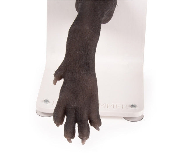 Canine Paw Bandage Trainer