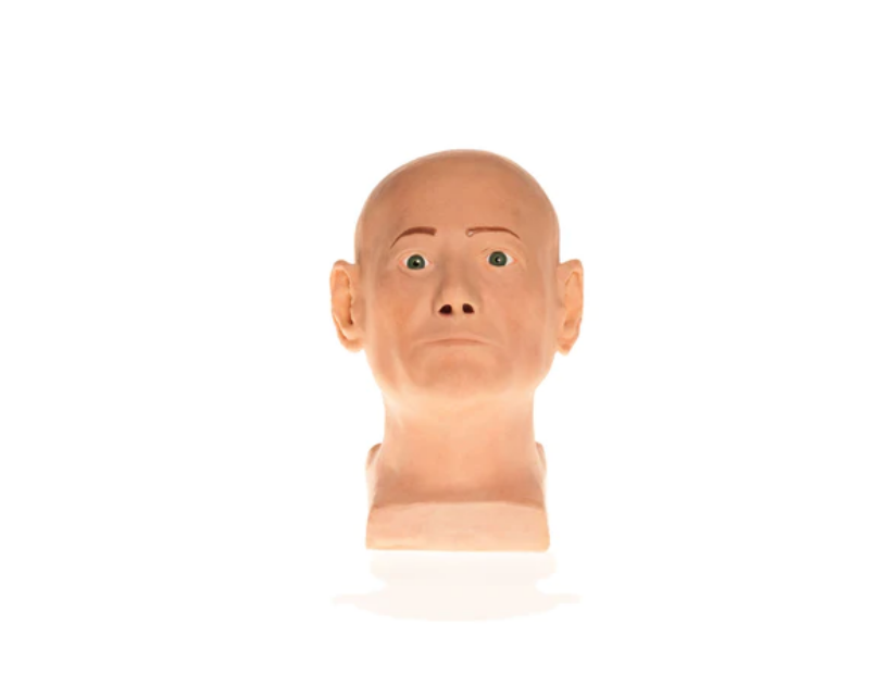 Cosmo Suturing Head Model