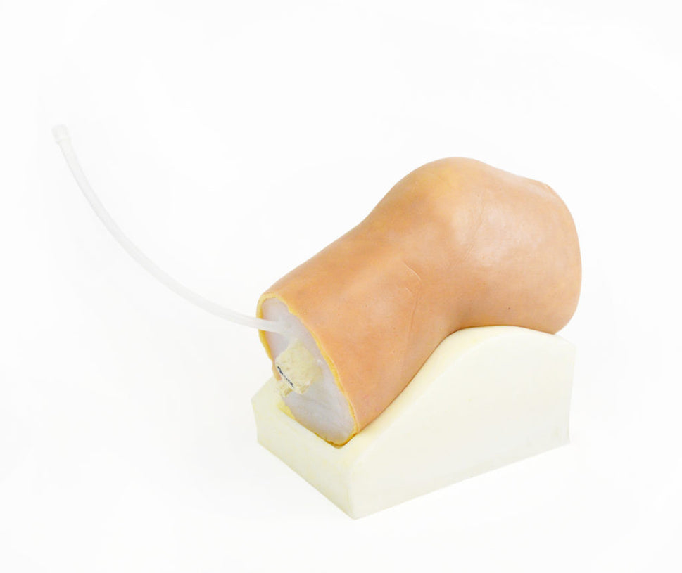 Arthrocentesis Knee Trainer