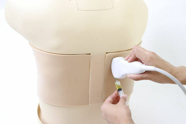 Thoracentesis Ultrasound Training Model