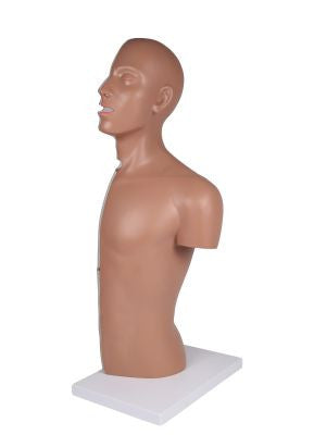 NG & Tracheostomy Torso Model