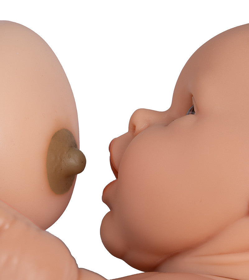 Parent Education Baby Model