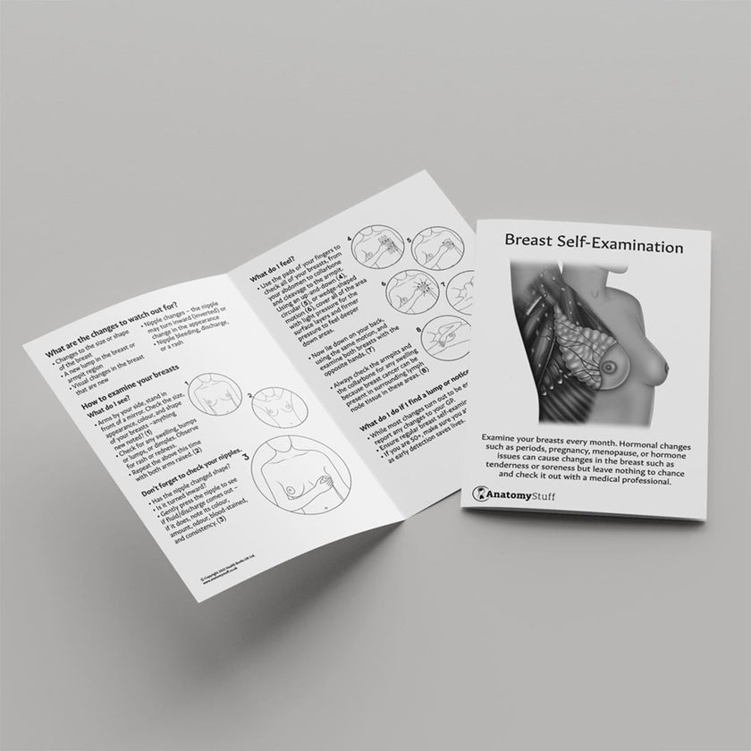 Breast Self-Examination Leaflet