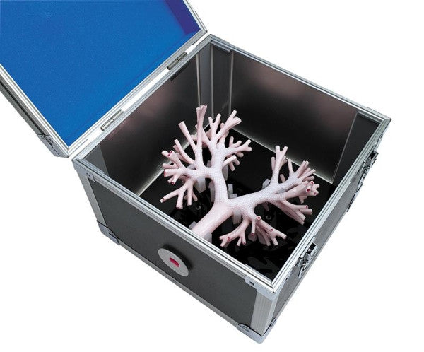 Bronchoscopy Trainer