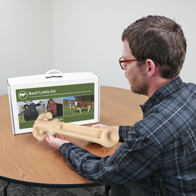 Agriculture Animal Education Kit - Beef Cattle