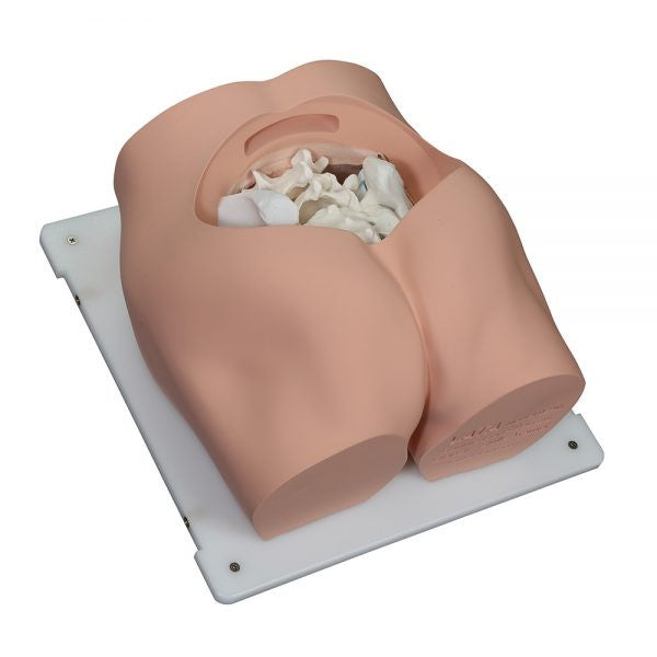 Bonnie Bone Marrow Biopsy Skills Trainer