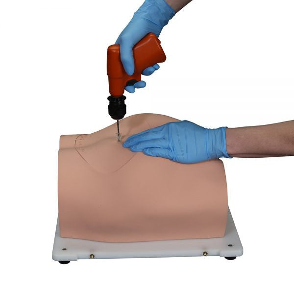Bonnie Bone Marrow Biopsy Skills Trainer