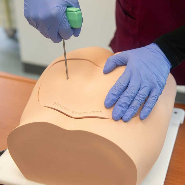 Bonnie Bone Marrow Biopsy Skills Trainer