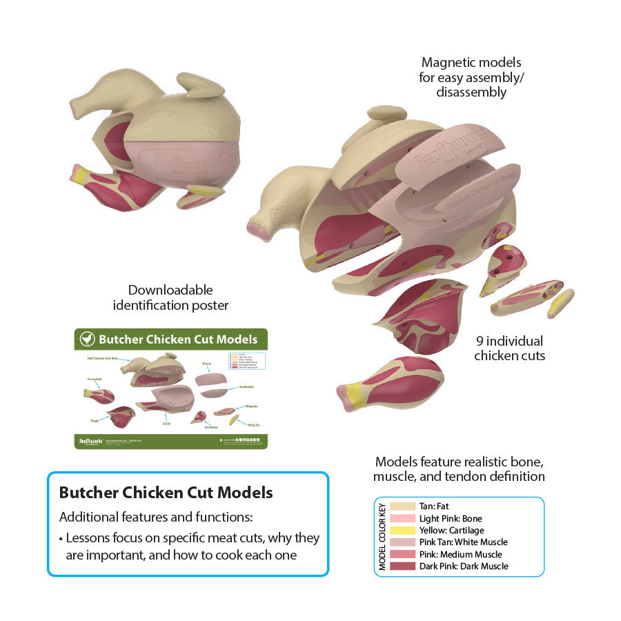 40010730 Butcher Chicken Cut Model annotations