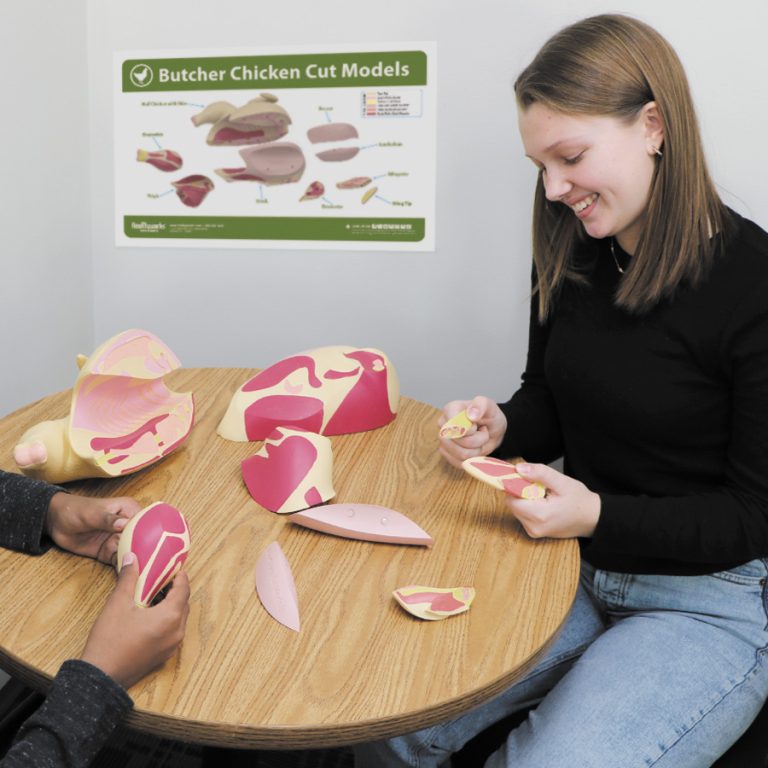 Butcher Chicken Cut Models