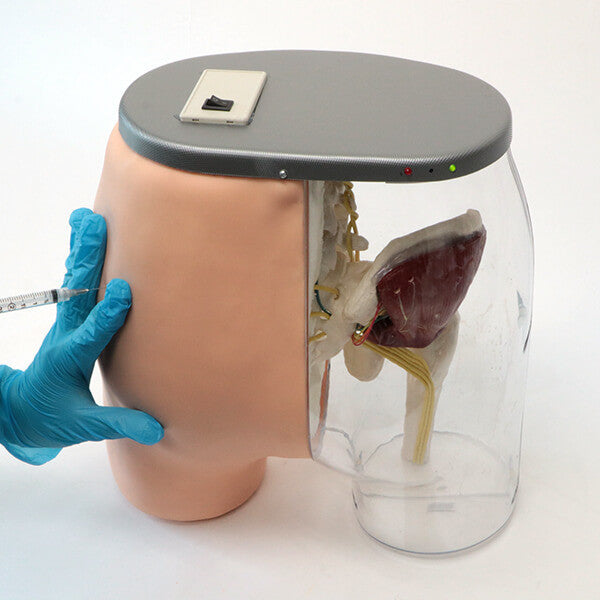 Buttocks Dorsogluteal Intramuscular Injection Simulator