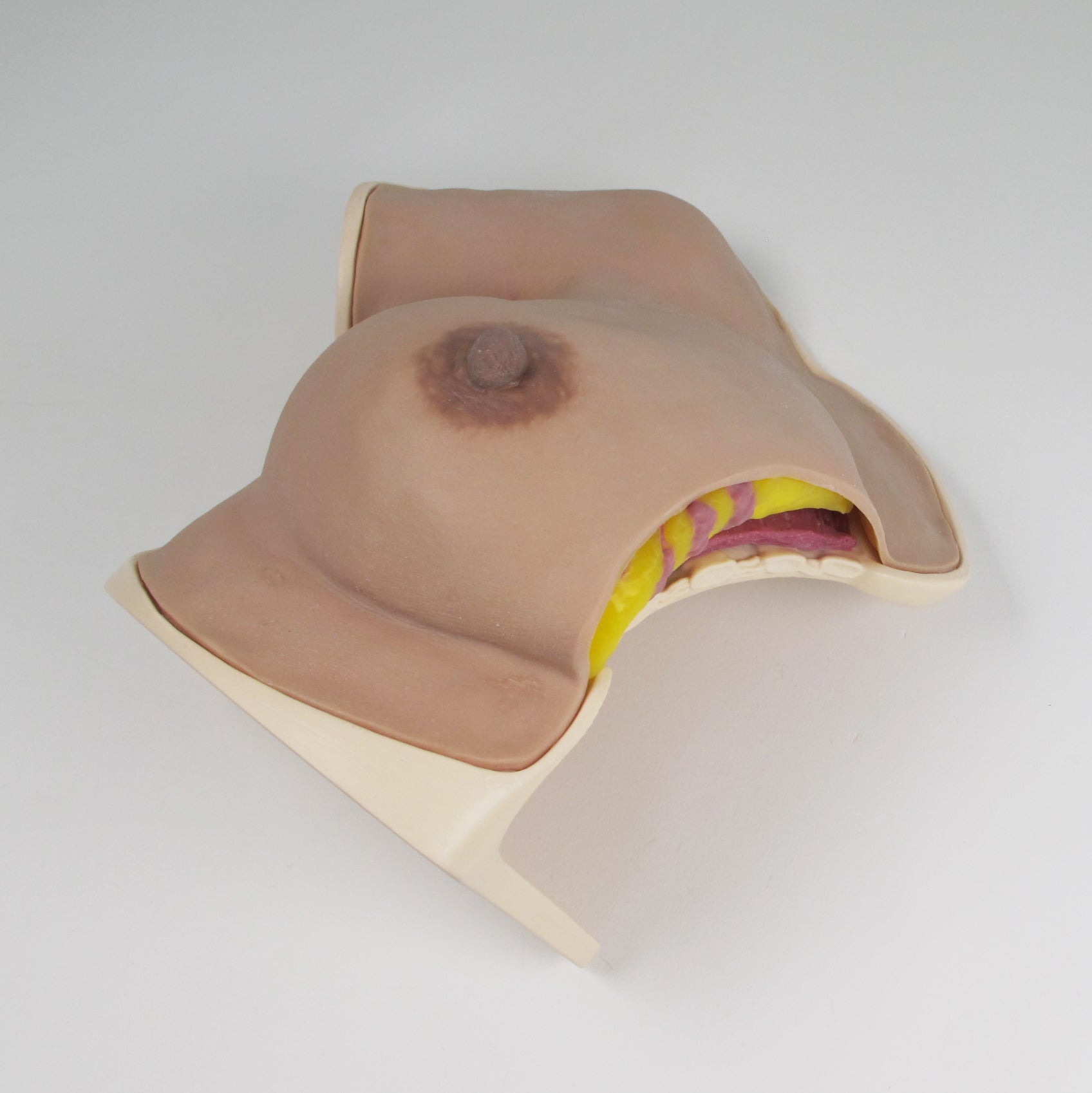 Breast Surgery Trainer
