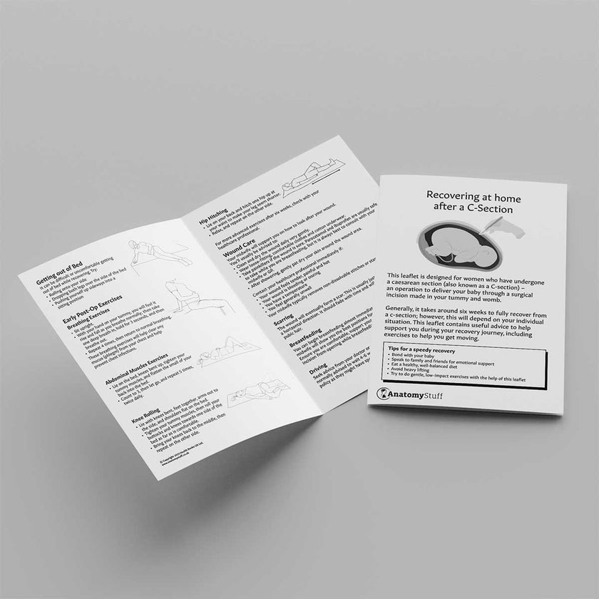 C-Section Aftercare Exercises Leaflet