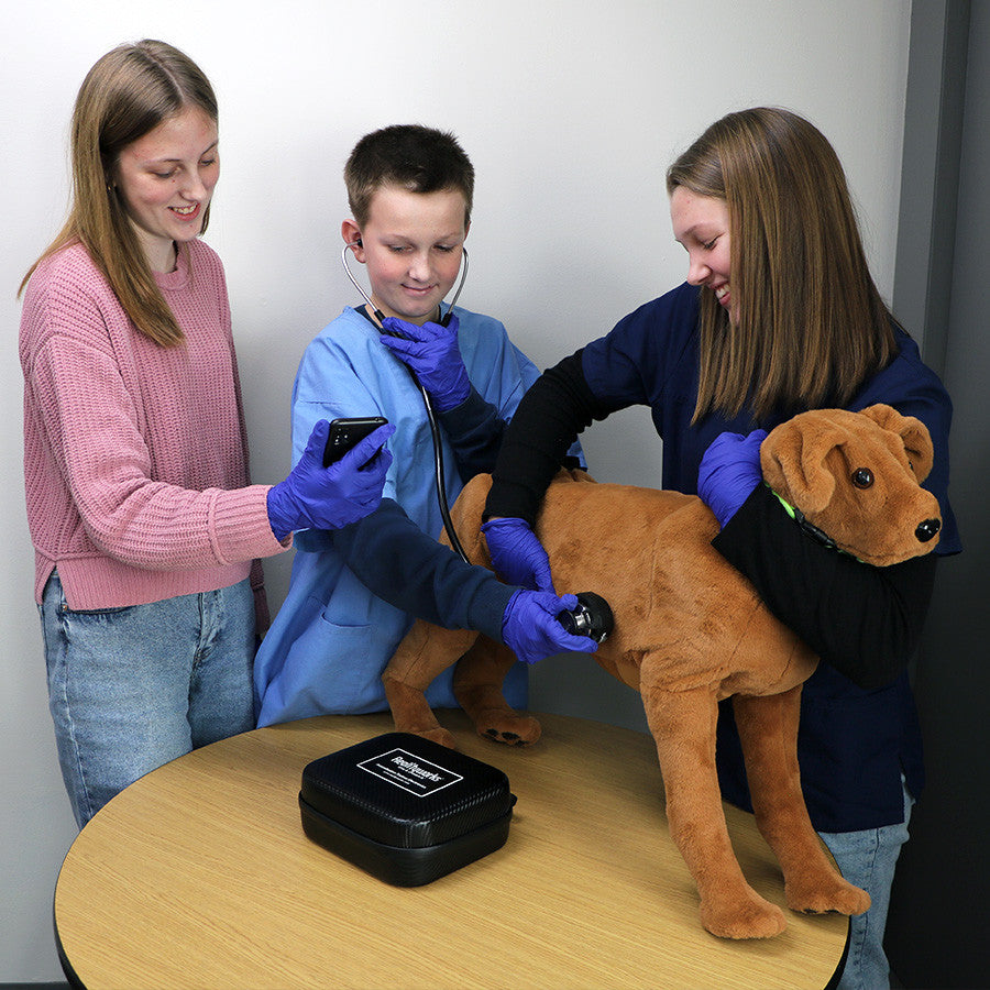 Canine Auscultation Trainer