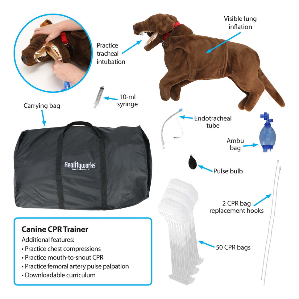 Canine CPR Trainer