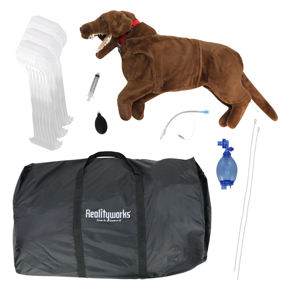 Canine CPR Trainer