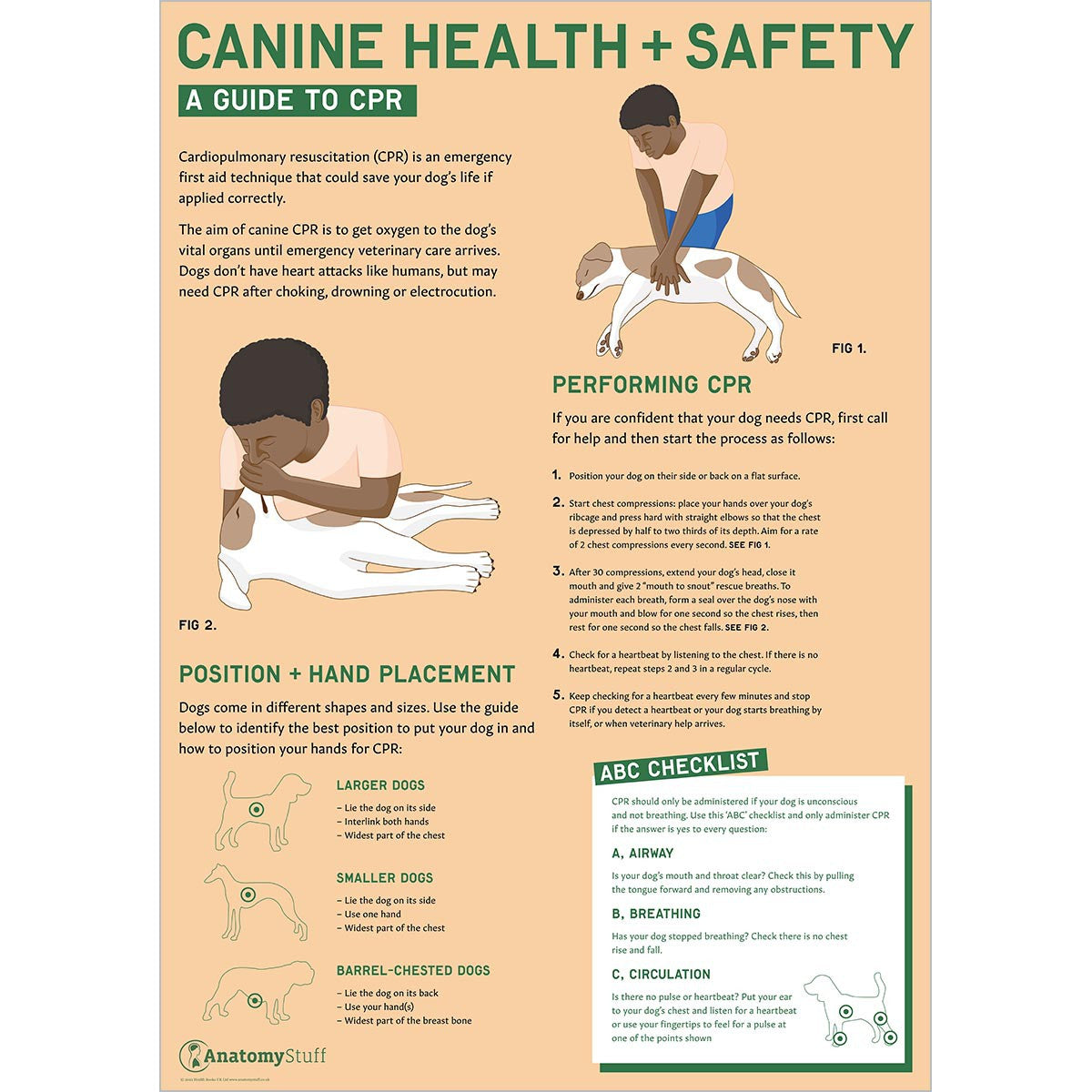Canine Health & Safety: A Guide to CPR Poster