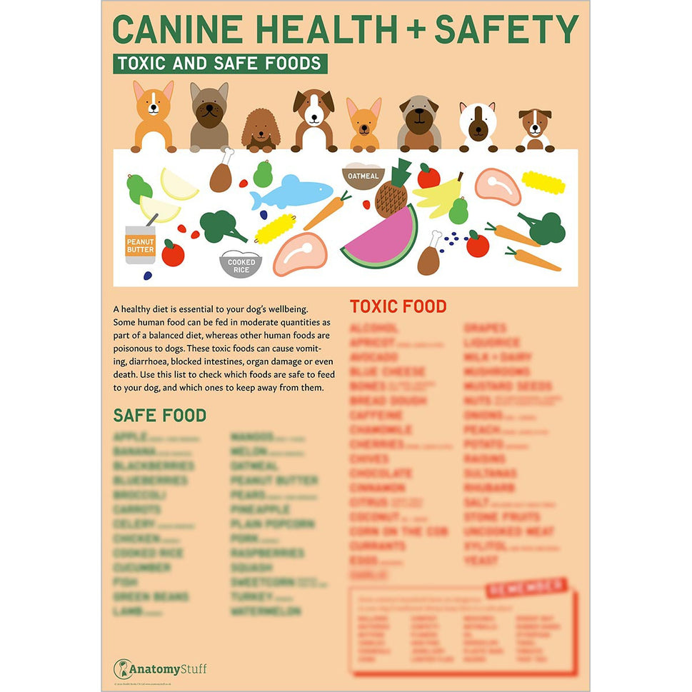 Canine Health & Safety Collection