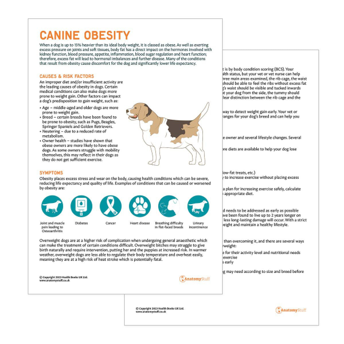 Canine Obesity Pet Owner Education Handout (Printable PDF)