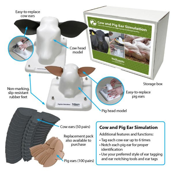 Cow and Pig Ear Simulator