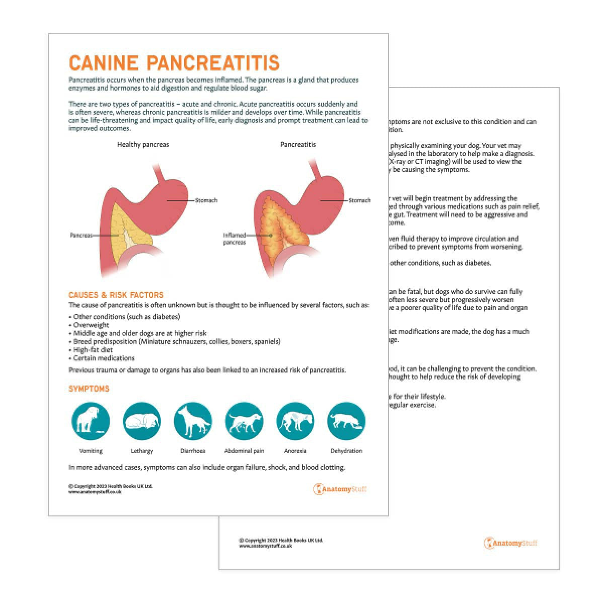 Canine Pancreatitis Pet Owner Education Handout (Printable PDF)