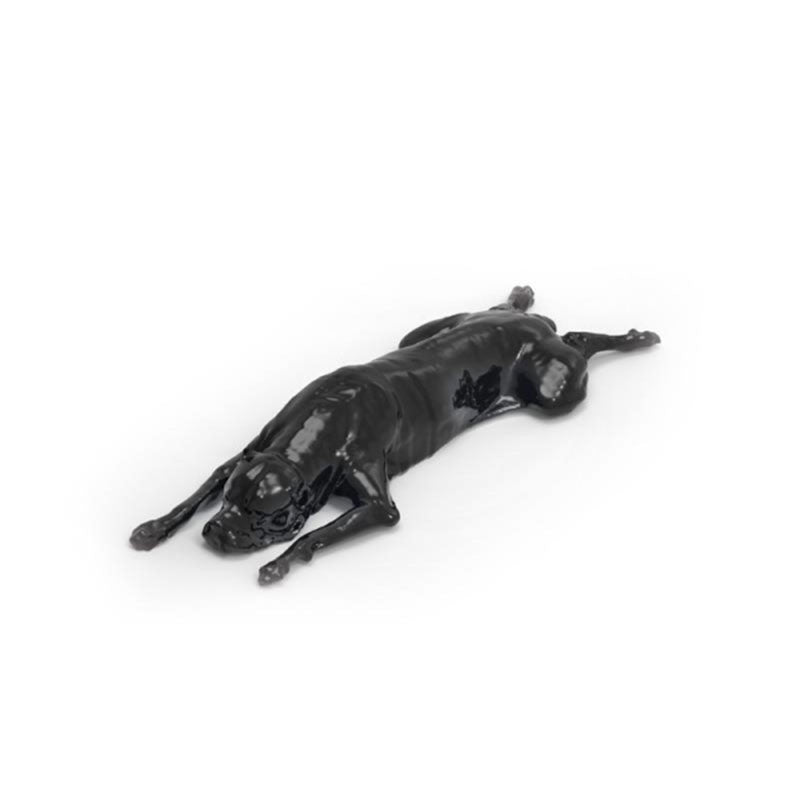 Dog Phantom Models for CT and X-Ray