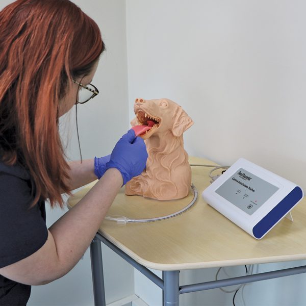 Canine Intubation Simulator