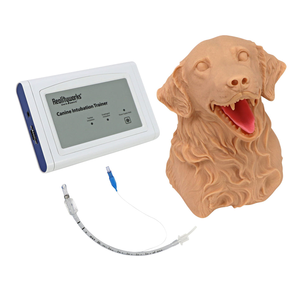 Canine Intubation Simulator