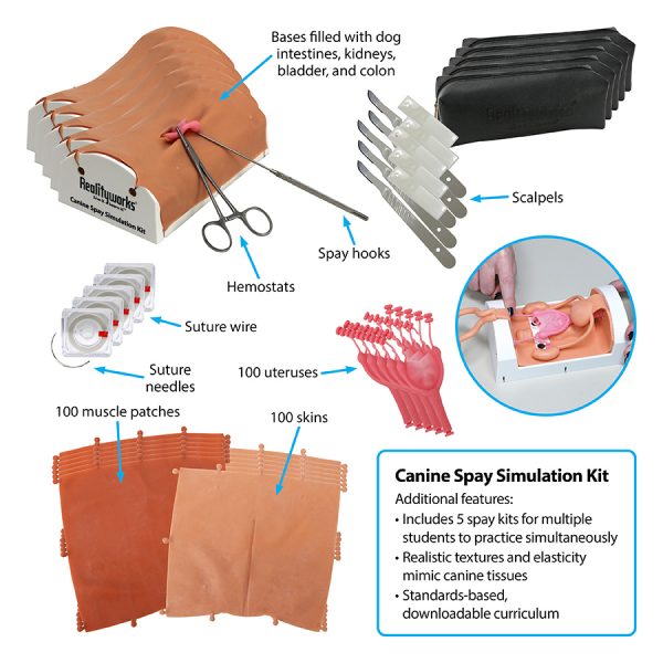 Canine Spay Simulation Kit