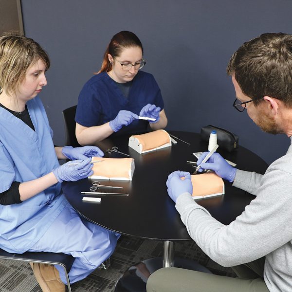 Canine Spay Simulation Kit