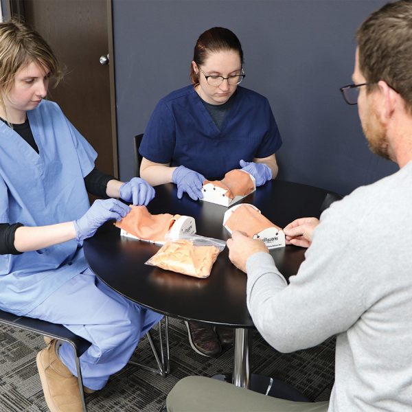 Canine Spay Simulation Kit