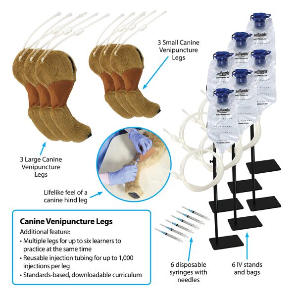 Canine Venepuncture Legs