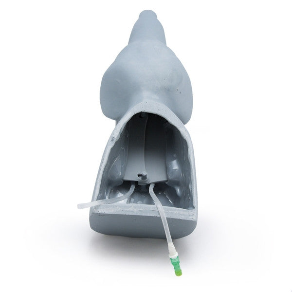 Canine Head Vascular Access Simulator