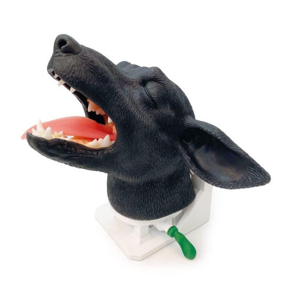 Canine Intubation Head Simulator