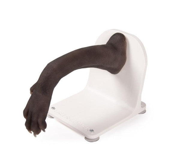 Canine Paw Bandage Trainer