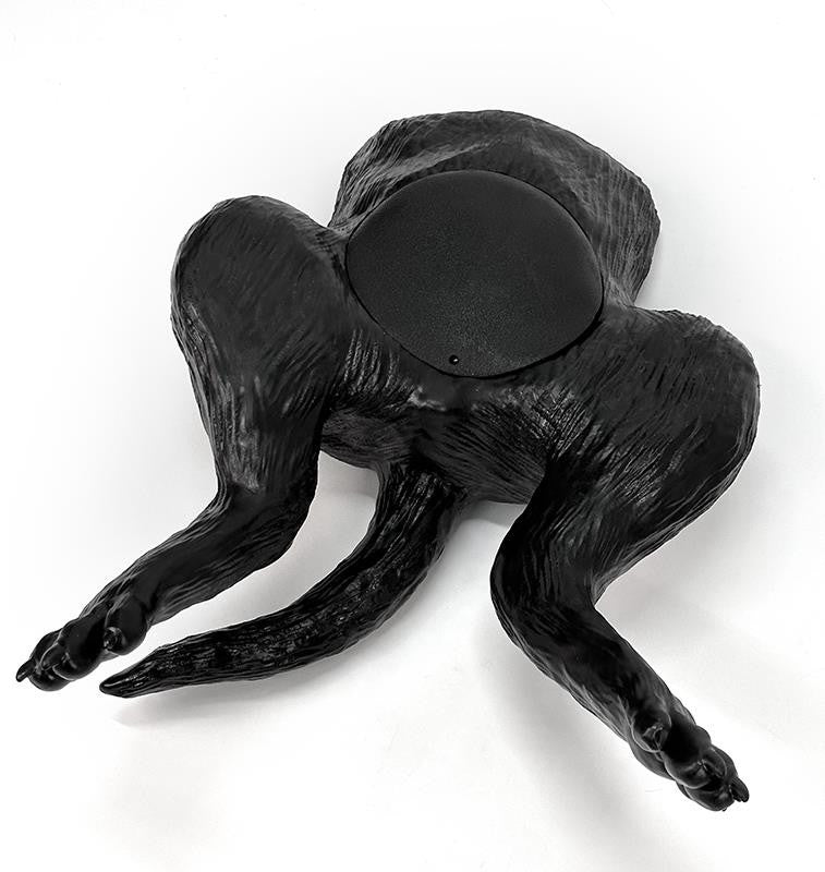 Canine Bladder Ultrasound Simulator