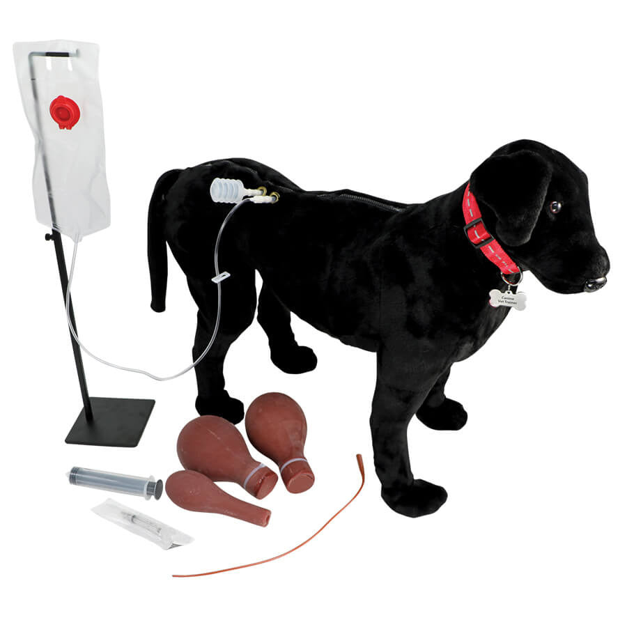 Canine Vet Trainer
