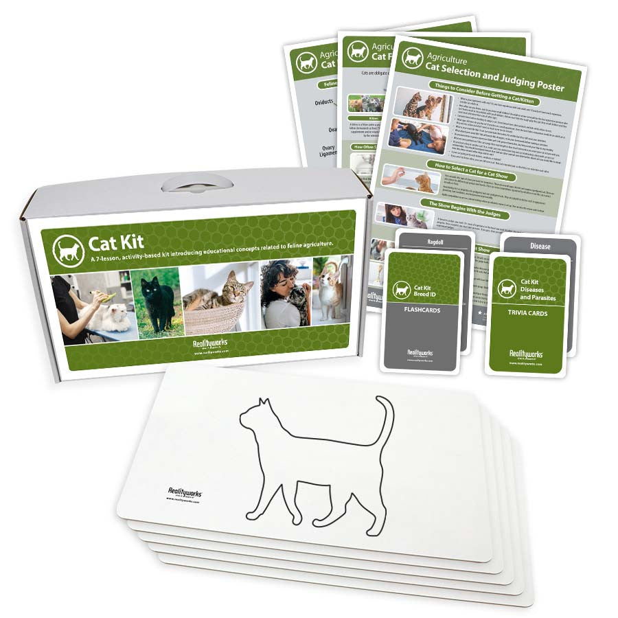 Cat Kit