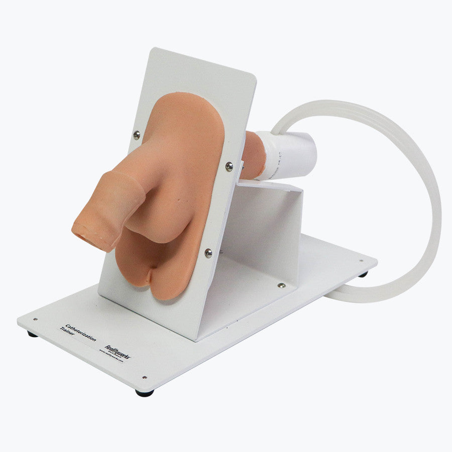 Male Catheterisation Trainer on Stand