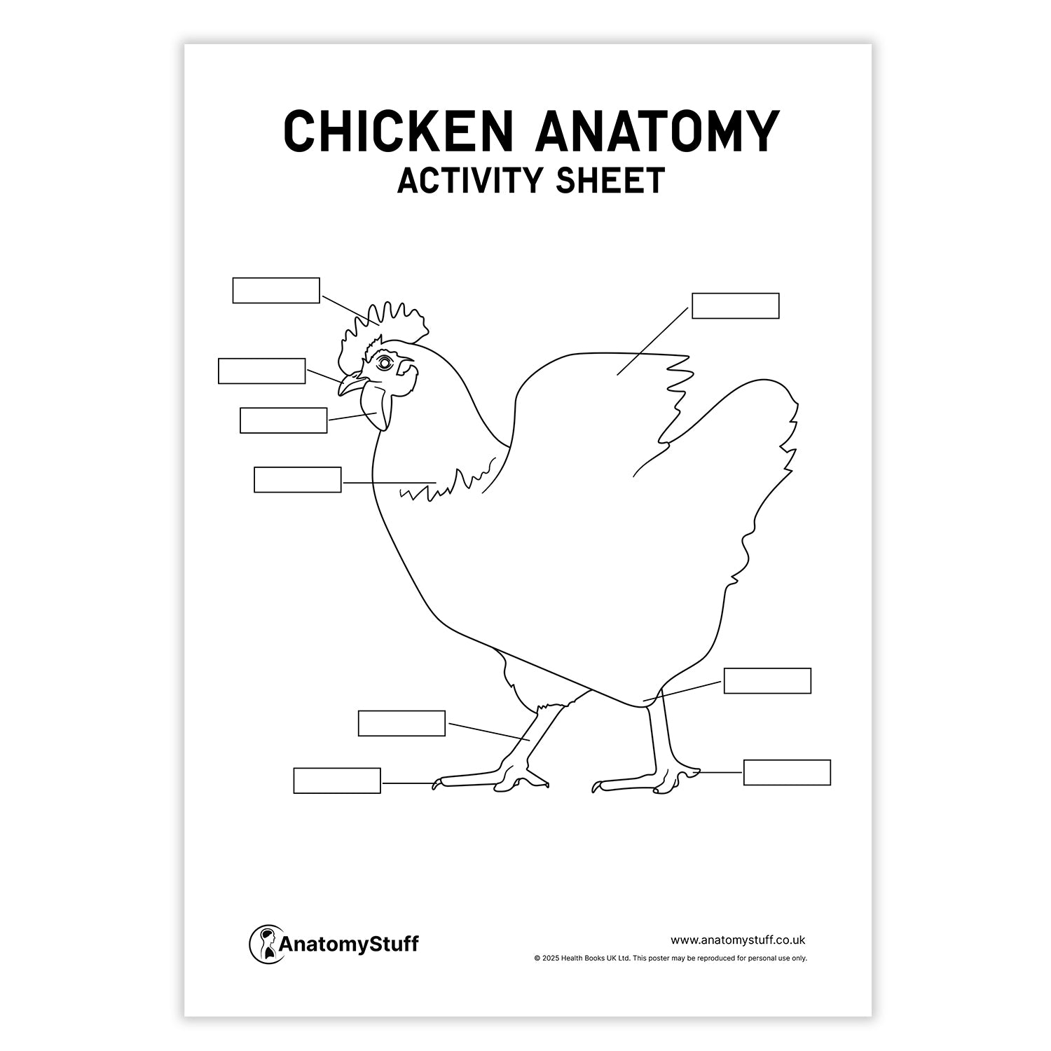 Chicken Anatomy Activity Sheet PDF