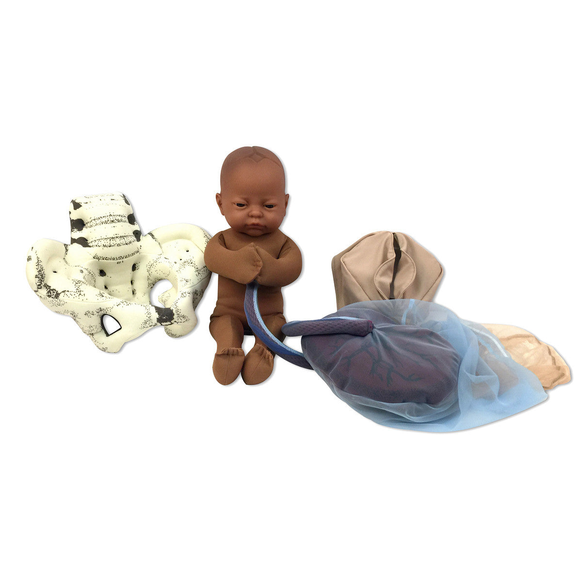 Cloth Childbirth Model Set: Pelvis, Foetal doll, Perineum, and Placenta