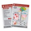 Concussion Education Kit