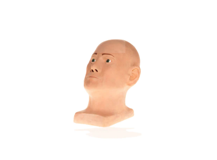 Cosmo Suturing Head Model