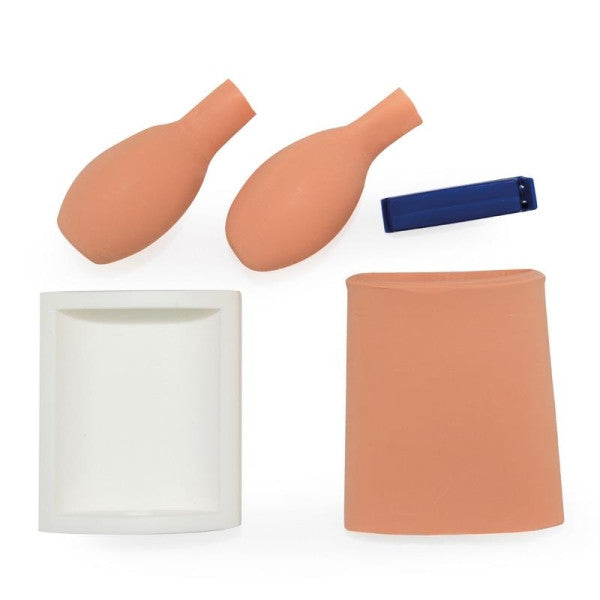 Cystocentesis Simulator