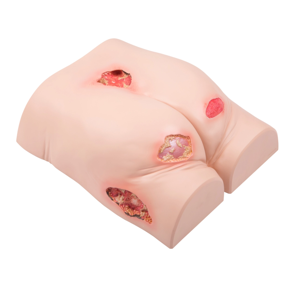 Decubitus Trainer / Buttocks Model