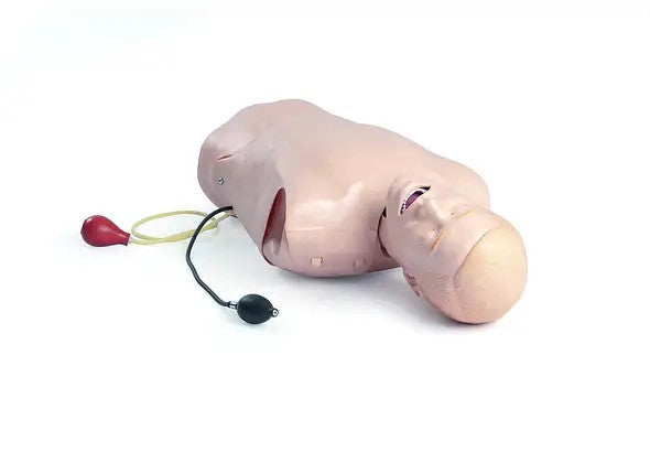 Deluxe Difficult Airway Trainer