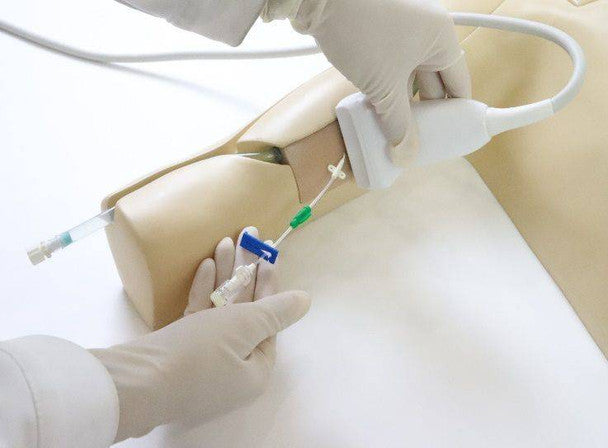 Peripherally Inserted Central Catheter (PICC) Ultrasound Training Model