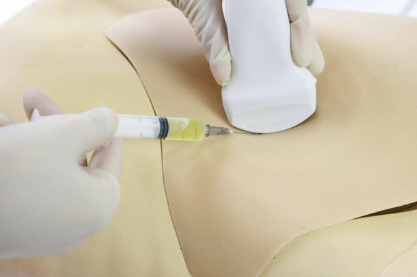 Femoral Arteriovenous Puncture and Abdominocentesis Ultrasound Training Model